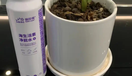 倍珍保大白瓶：宠物异味和细菌的克星