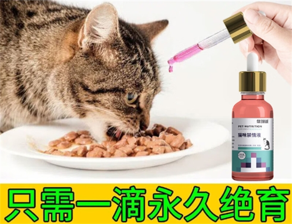 偿鲜诀宠物禁情液对公猫有害吗