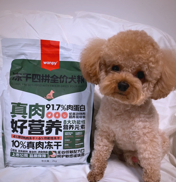 小型犬适合什么狗粮？4大小型犬狗粮品牌推荐给你
