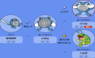 蚊香蝌蚪多少级进化