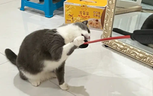 卡瓦图逗猫棒玩多了有什么坏处吗 卡瓦图逗猫棒玩多了有什么坏处吗