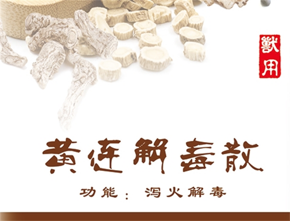 金大康兽药 “黄连解毒散”:泻火解毒,守护动物健康 金大康兽药 “黄连解毒散”:泻火解毒,守护动物健康