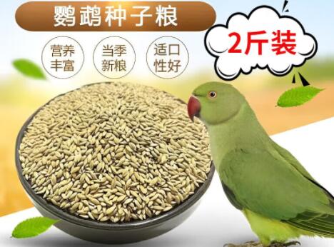 佐之寻鹦鹉粮好吗 佐之寻鹦鹉粮好吗
