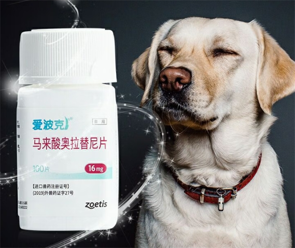 爱波克：狗狗皮肤病的救星