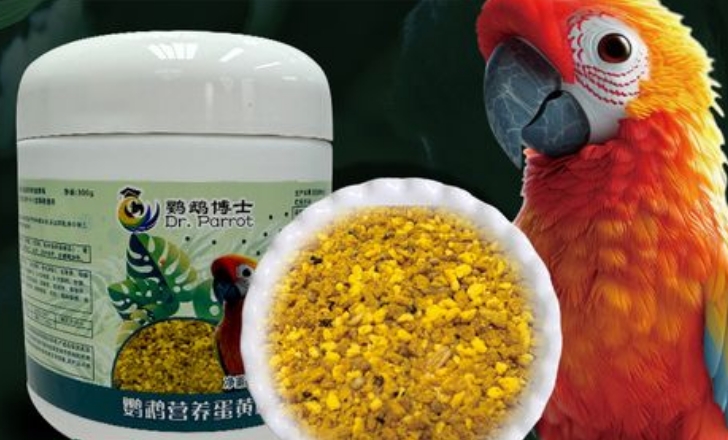 鹦鹉博士能买吗