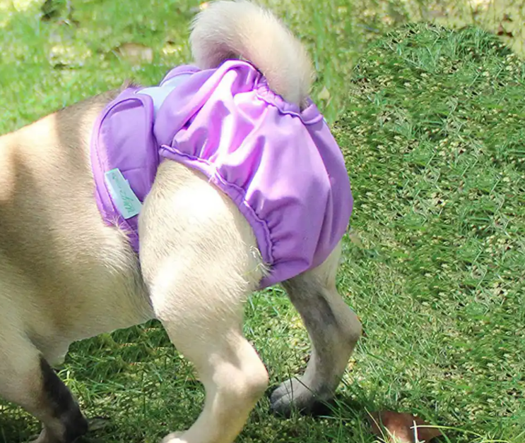 驭瑛狗狗生理裤,贴心呵护爱宠健康 驭瑛狗狗生理裤,贴心呵护爱宠健康