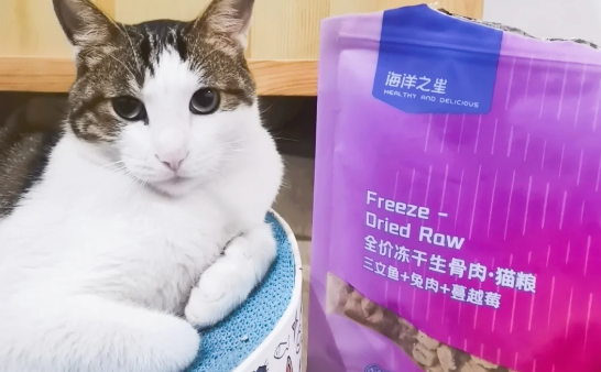 猫零食冻干哪个牌子好?这十大猫零食品牌值得一试 猫零食冻干哪个牌子好?这十大猫零食品牌值得一试