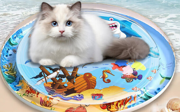 给猫咪的清凉小窝:飒望猫咪水床 给猫咪的清凉小窝:飒望猫咪水床