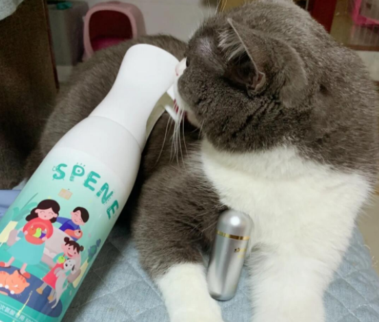 星帮尼次氯酸片：宠物消毒的安心之选