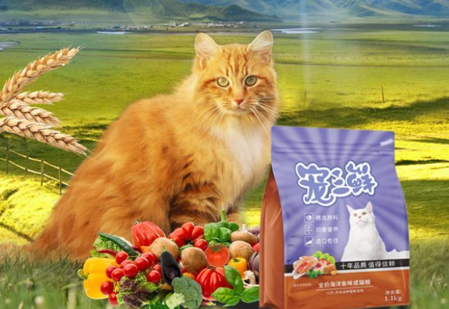 雷米高宠三鲜系列海洋鱼味全价幼猫粮介绍及常见问题解答