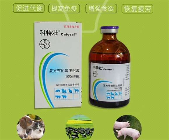 科特壮布他磷兽药是治疗什么的