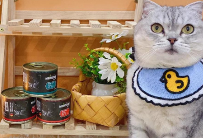 喵达罐头征服了挑食猫,强烈推荐都来试试 喵达罐头征服了挑食猫,强烈推荐都来试试