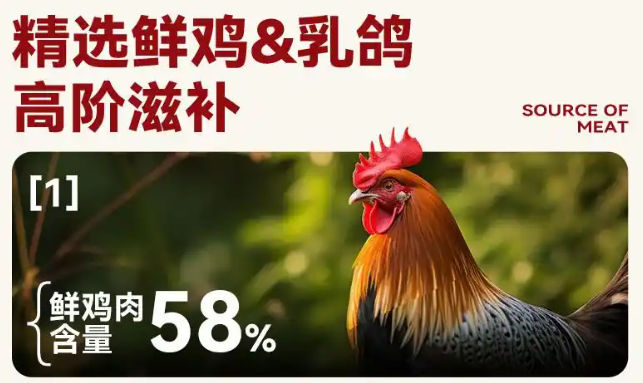缅甸猫猫粮哪个好?缅甸猫适合吃哪款猫粮? 缅甸猫猫粮哪个好?缅甸猫适合吃哪款猫粮?