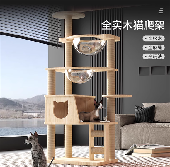 宠贝亚猫爬架:给猫咪一个专属的小天地 宠贝亚猫爬架:给猫咪一个专属的小天地