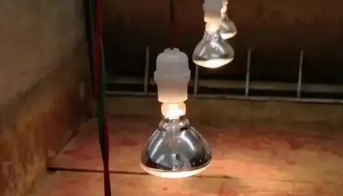句可保温灯24小时开吗 句可保温灯24小时开吗