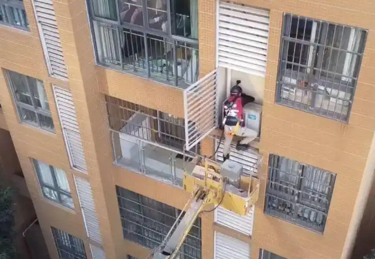 城市里的“猫咪消防员”:8年救下3927只猫,曾一天接到六七个求助 城市里的“猫咪消防员”:8年救下3927只猫,曾一天接到六七个求助