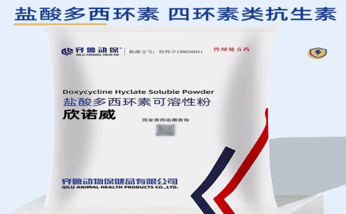 齐鲁动保
