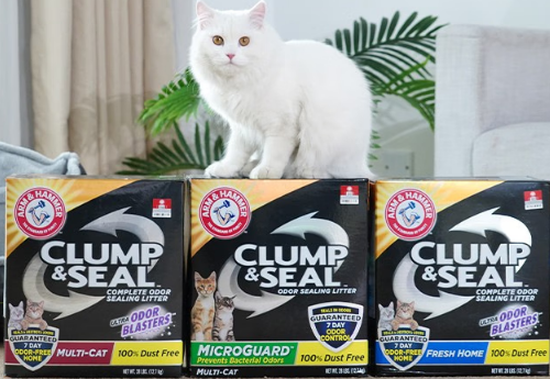 猫砂多长时间换一次比较好?专业解答来了! 猫砂多长时间换一次比较好?专业解答来了!