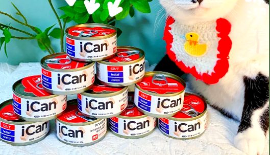 猫罐头直接吃还是拌猫粮？这篇文章告诉你！