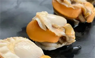 扇贝肉哪些部位不能吃