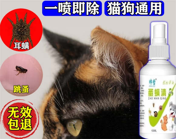 帅哲蚤螨清猫咪舔了怎么办