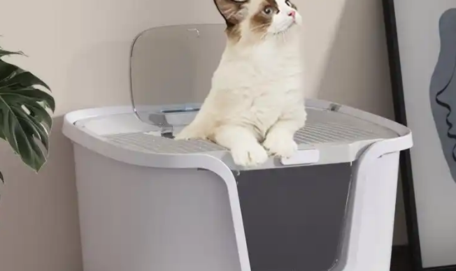佳乐滋双层猫砂盆，提升养猫生活的理想选择！