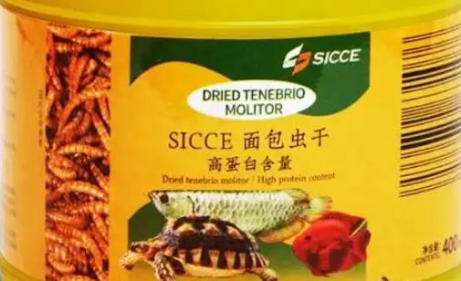 SICCE鱼粮：为鱼儿的健康与活力助力
