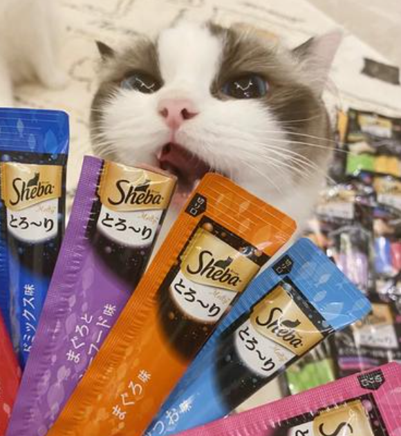 希宝猫零食怎么样?希宝猫粮属于什么档次的? 希宝猫零食怎么样?希宝猫粮属于什么档次的?