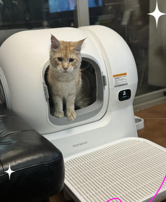 霍曼猫砂盆怎么样?霍曼猫砂盆推荐购买吗? 霍曼猫砂盆怎么样?霍曼猫砂盆推荐购买吗?