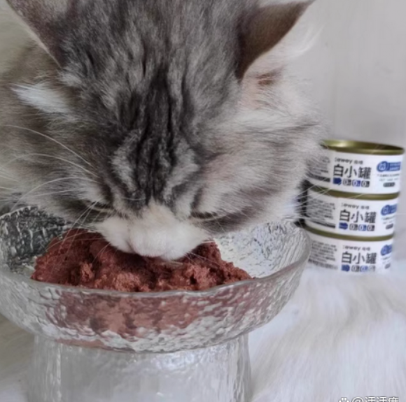 目前口碑最好的猫罐头是哪个?具体有哪些优势? 目前口碑最好的猫罐头是哪个?具体有哪些优势?