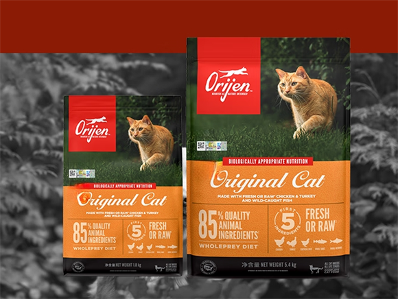 猫粮什么牌子好？这几款值得考虑