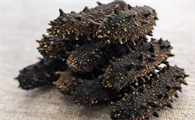 hpv病毒吃海参可以吗