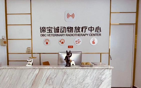 谛宝诚助力宠物医院：如何优选安全可靠的DR设备