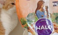 自然光环猫粮好不好？自然光环猫粮哪个国家的？