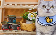 喵达罐头征服了挑食猫，强烈推荐都来试试