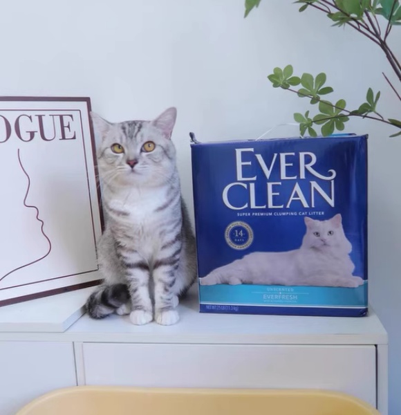 猫砂臭味怎么消除?请铲屎官优雅反击“生化武器库” 猫砂臭味怎么消除?请铲屎官优雅反击“生化武器库”