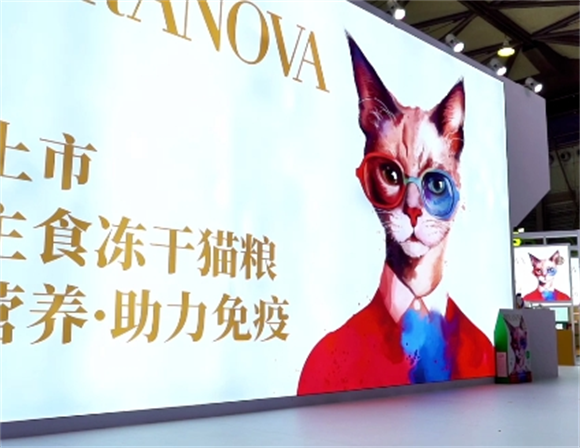 七年养猫经验的铲屎官力荐:朗诺主食冻干,真的值得一喂! 七年养猫经验的铲屎官力荐:朗诺主食冻干,真的值得一喂!