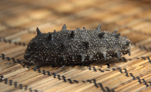 吃海参有什么好处和功效 吃海参有什么好处和功效