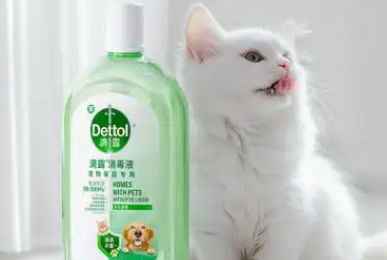 滴露Dettol宠物消毒怎么样 滴露Dettol宠物消毒怎么样
