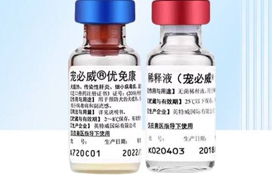 英特威四联疫苗间隔多久一针 英特威四联疫苗间隔多久一针