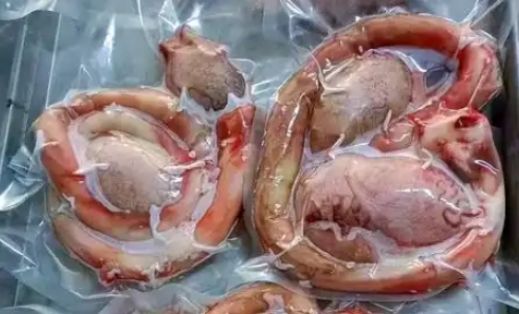 吃牦牛鞭有什么作用 吃牦牛鞭有什么作用