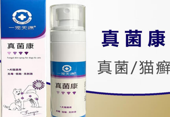一宠天源真菌康对猫癣真菌的作用分析 一宠天源真菌康对猫癣真菌的作用分析