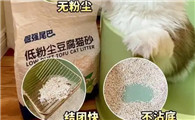 猫砂什么牌子最好用？选择倔强的尾巴豆腐猫砂准没错