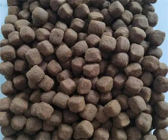 肉食凶猛狗粮好吗