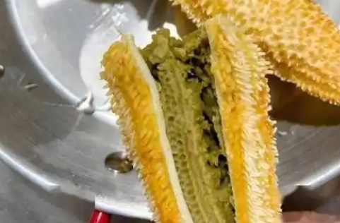 海星里面什么能吃