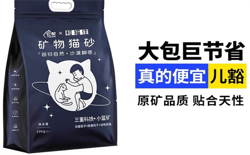 和猫住