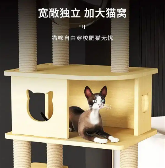 实木打造·宠贝亚大型猫爬架,太空舱猫窝跳台新体验! 实木打造·宠贝亚大型猫爬架,太空舱猫窝跳台新体验!