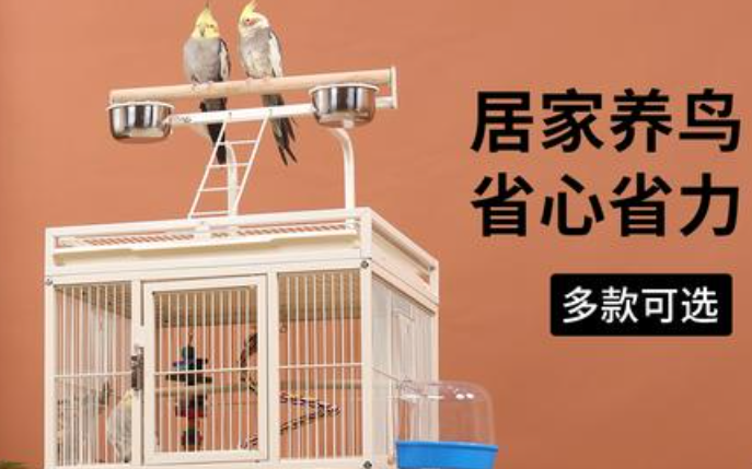 宠儿新家鸟笼凭借多样款式,满足不同场景需求 宠儿新家鸟笼凭借多样款式,满足不同场景需求