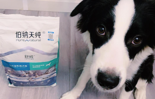 狗粮哪个牌子好?选品质狗粮,狗狗才能吃得安心! 狗粮哪个牌子好?选品质狗粮,狗狗才能吃得安心!
