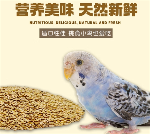 佐之寻鹦鹉粮生产厂家 佐之寻鹦鹉粮生产厂家